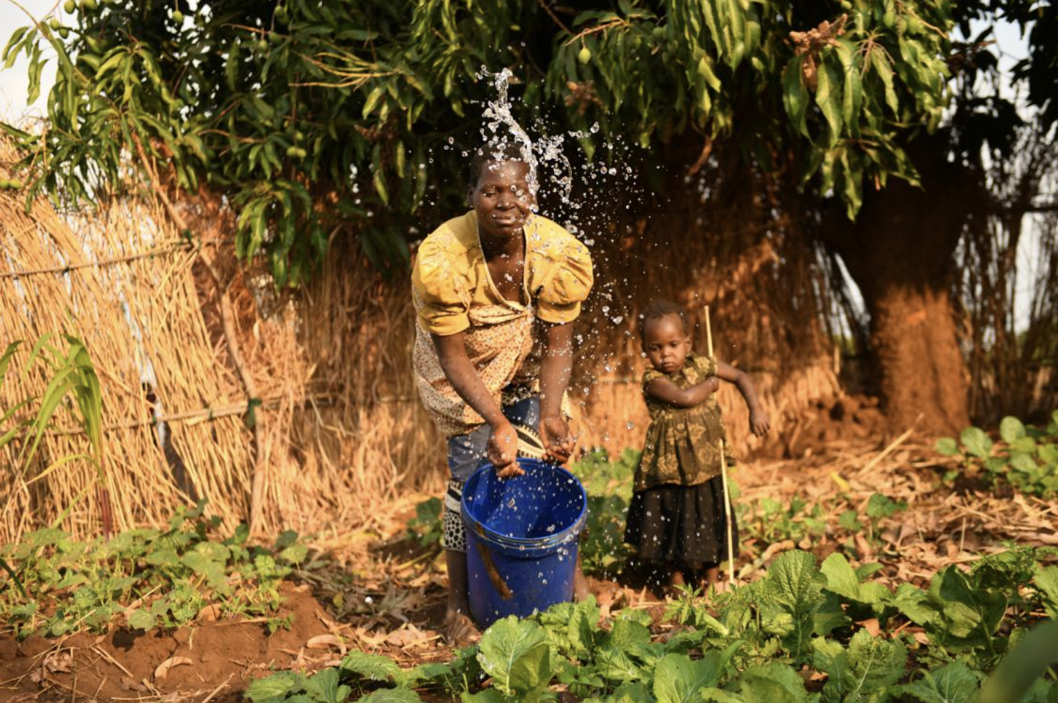 UNICEF Malawi/2020/Thoko Chikondi Sophie watering vegetables in her garden, beside her is her daughter