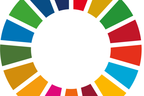 SDG circle